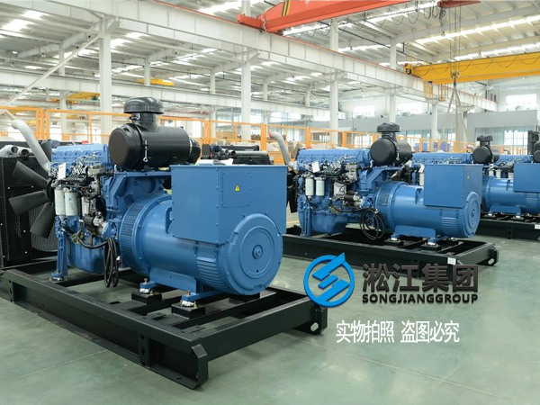 JA型橡膠減振器在發電機組的抗震應用